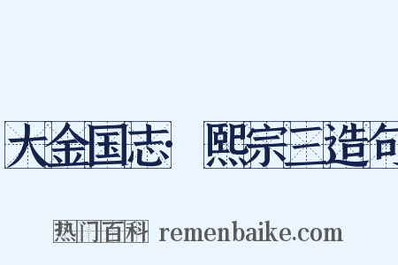 大金国志·熙宗三造句是什么意思的图片